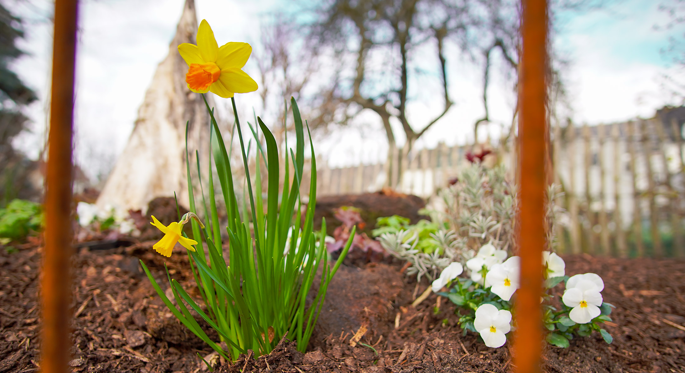 Fruehling_start_2022